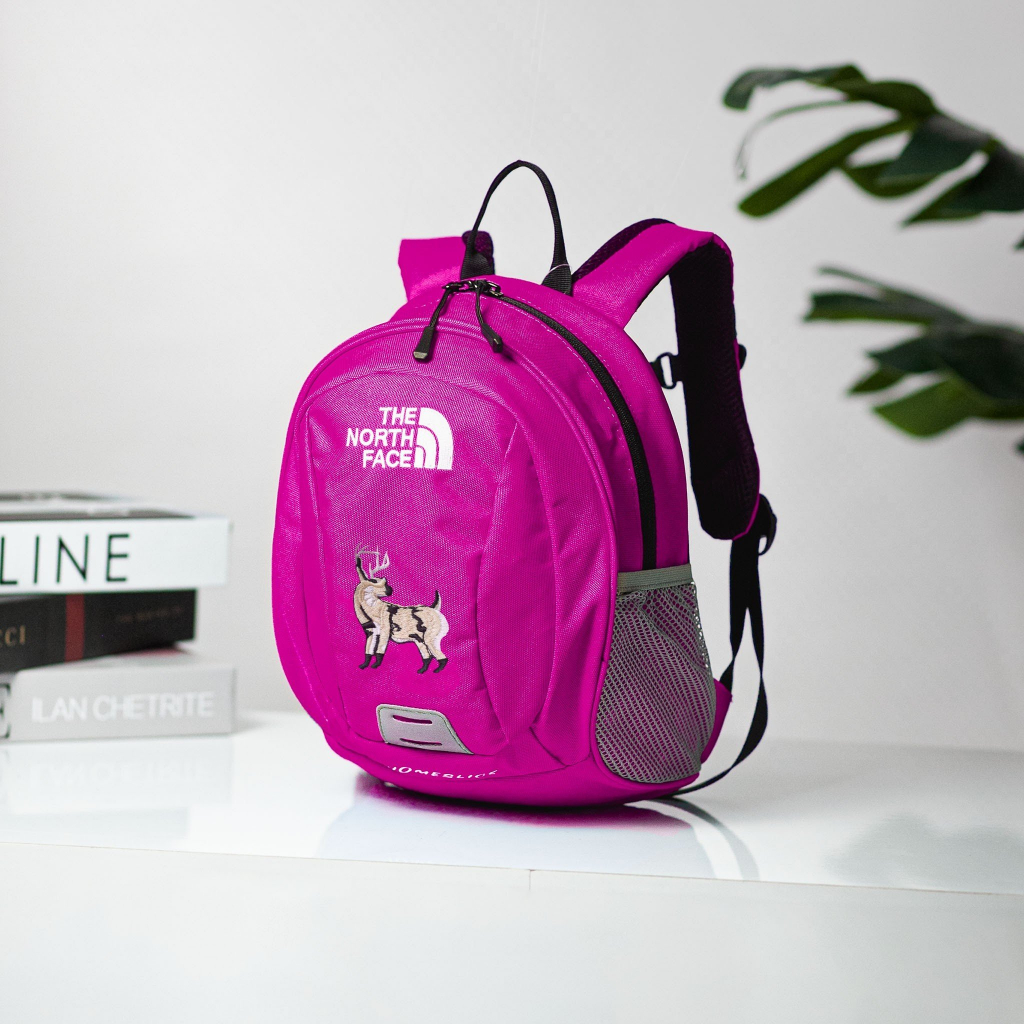 Balo Bé Trai Bé Gái Trẻ Em The North Face Mini Xuất Chuẩn Hãng Tem Tag Đầy Đủ Dành Cho Trẻ Mẫu Giáo