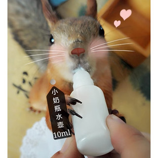 Bình ti sữa cho thú cưng sơ sinh - bình mớm sữa cho thú cưng nhỏ 10ml cho Thỏ, sóc, nhím, hamster