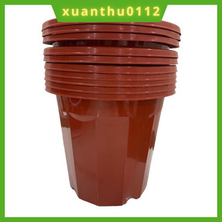 Chậu nhựa trồng cây, ươm cây nâu 10 cái e300