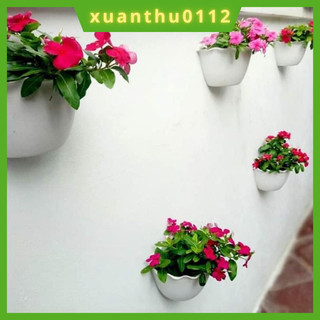 [Combo 10 chậu]Chậu ốp tường trồng hoa, cây cảnh hình bán nguyệt, có lưới lót hàng loại 1 dày đẹp