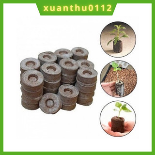[20 viên] Viên nén xơ dừa ươm hạt giống, ươm cây đơn giản, hàng loại 1 viên to, dày