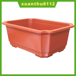 [COMBO 10 CHẬU]Chậu nhựa Ang trồng hoa cây cảnh, rau, chậu bon sai chữ nhật hàng loại 1 dày đẹp