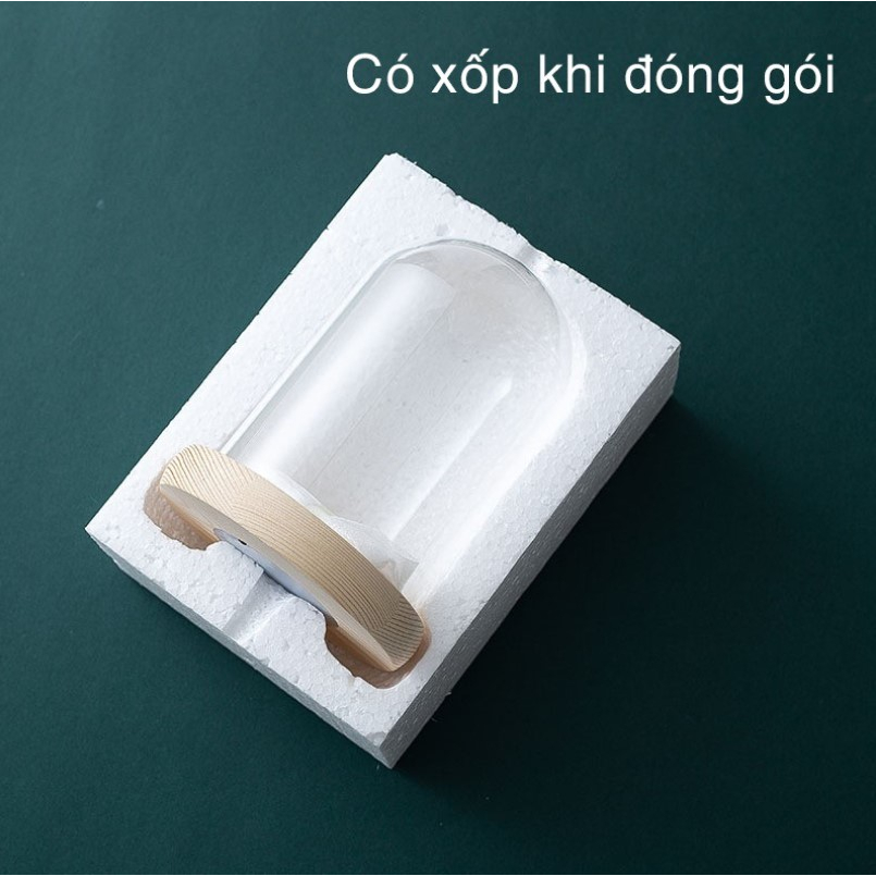 Chụp Thủy Tinh Đế Gỗ có đèn LED trang trí hoa khô, nến thơm, tiểu cảnh để bàn, quà tặng handmade