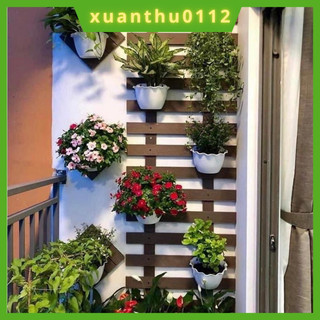 [Combo 10 chậu]Chậu ốp tường trồng hoa, cây cảnh hình bán nguyệt, có lưới lót chậu 10 cái