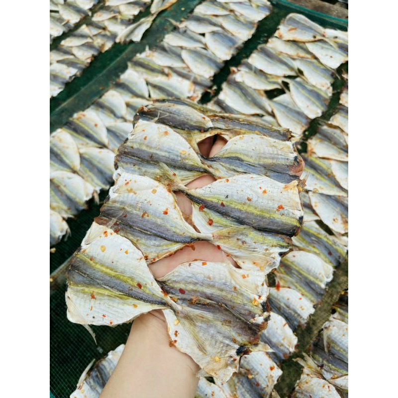 CÁ CHỈ VÀNG 2 NẮNG