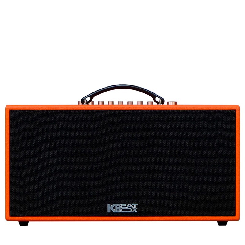 Loa karaoke xách tay chinh hãng Acnos CS447