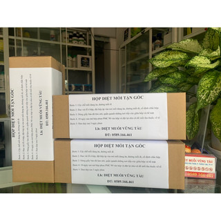 Hộp nhử diệt mối tận gốc