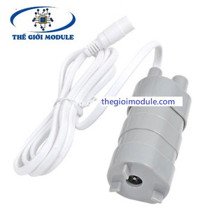 Bơm nước mini chìm 12v jt-500 600l