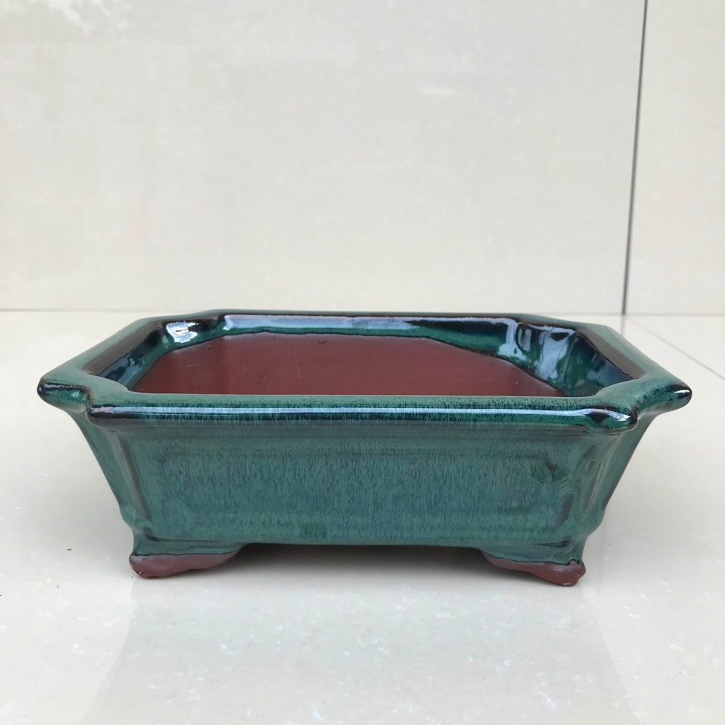 Chậu Chữ nhật vát trồng cây cảnh bonsai sen đá màu xanh ngọc SP122