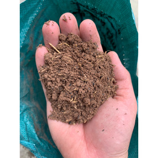 Đất dinh dưỡng trồng cây, đất sạch hữu cơ trồng cây cảnh, hoa, rau rất tốt