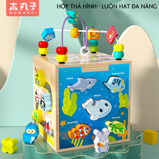Hộp thả hình - Luồn hạt đa năng (Đồ chơi GIÁO DỤC MONTESSORI thông minh)