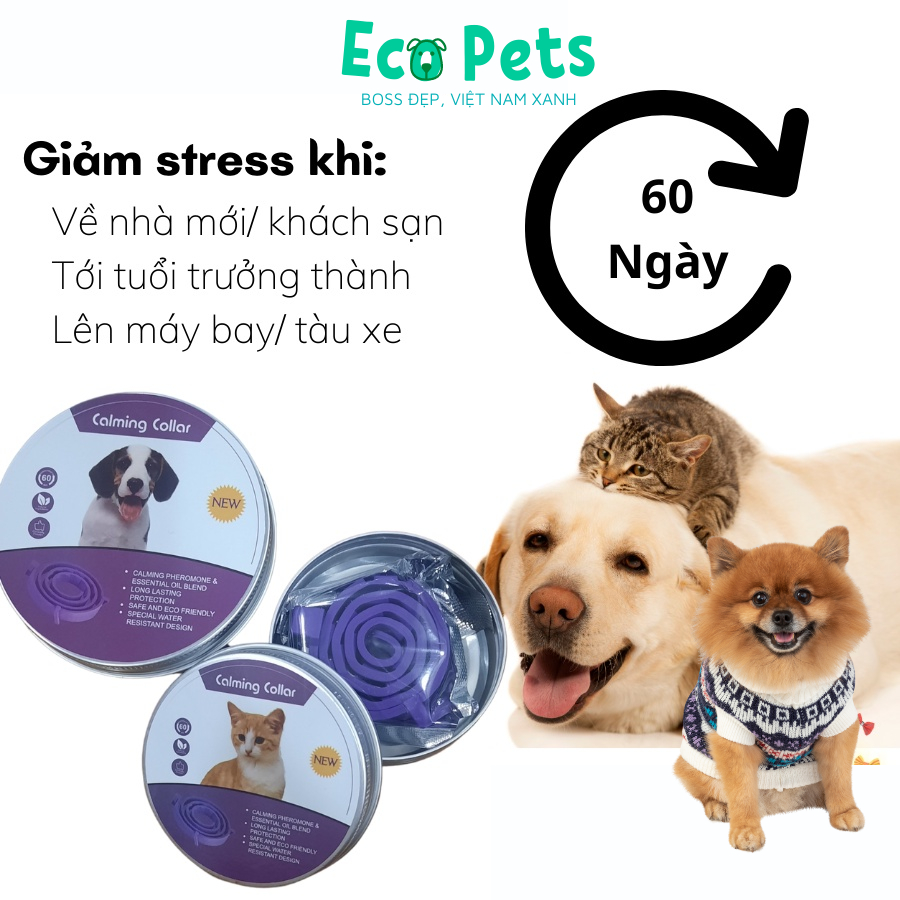 Vòng cổ ECOPETS giảm Stress cho chó mèo Feliway giảm căng thẳng cho chó mèo hiệu quả an toàn không tác dụng phụ- 38/62cm