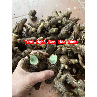 Củ Nghệ Đen Tươi