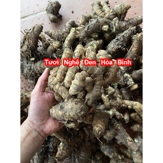 Củ Nghệ Đen Tươi