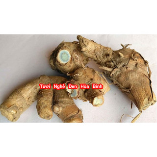 Củ Nghệ Đen Tươi