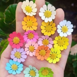 Túi 100 đầu bông hoa cúc tana trang trí bánh kem sinh nhật, cúc hoạ mi mini