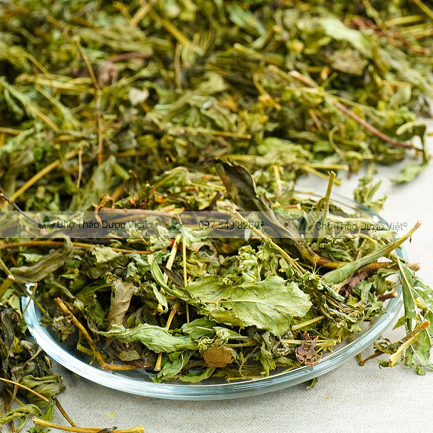 100gr Cỏ Ngọt