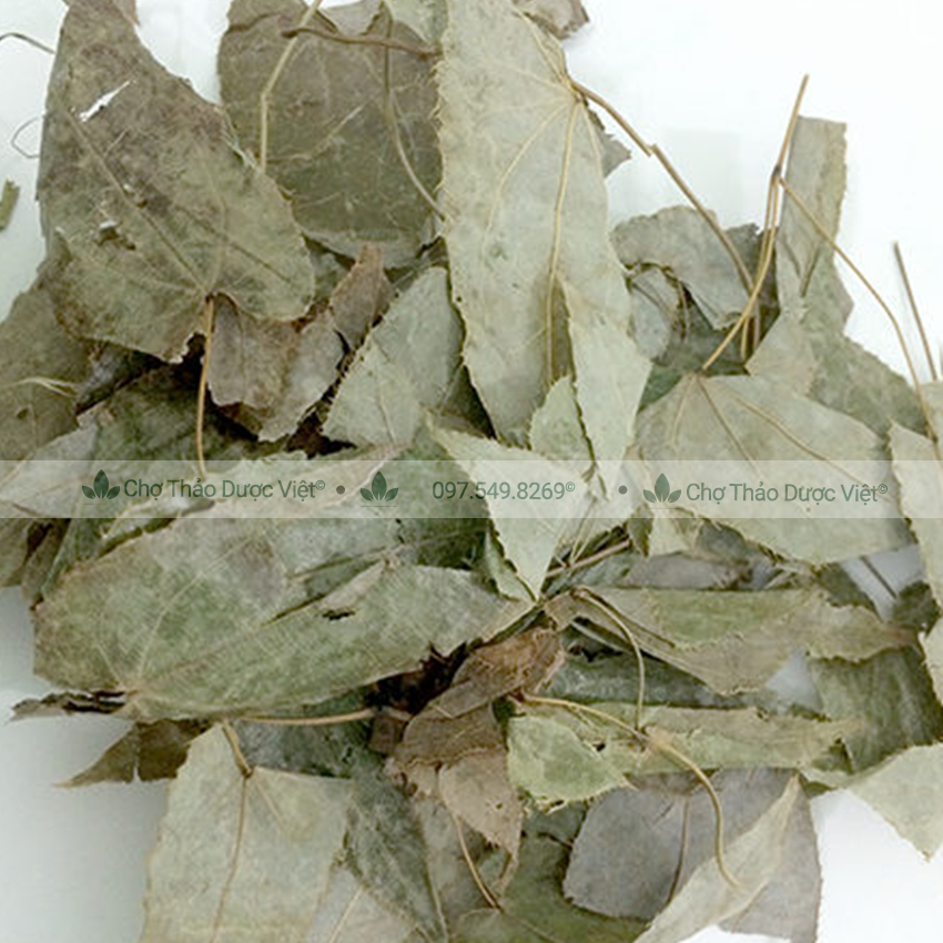 100gr Dâm Dương Hoắc