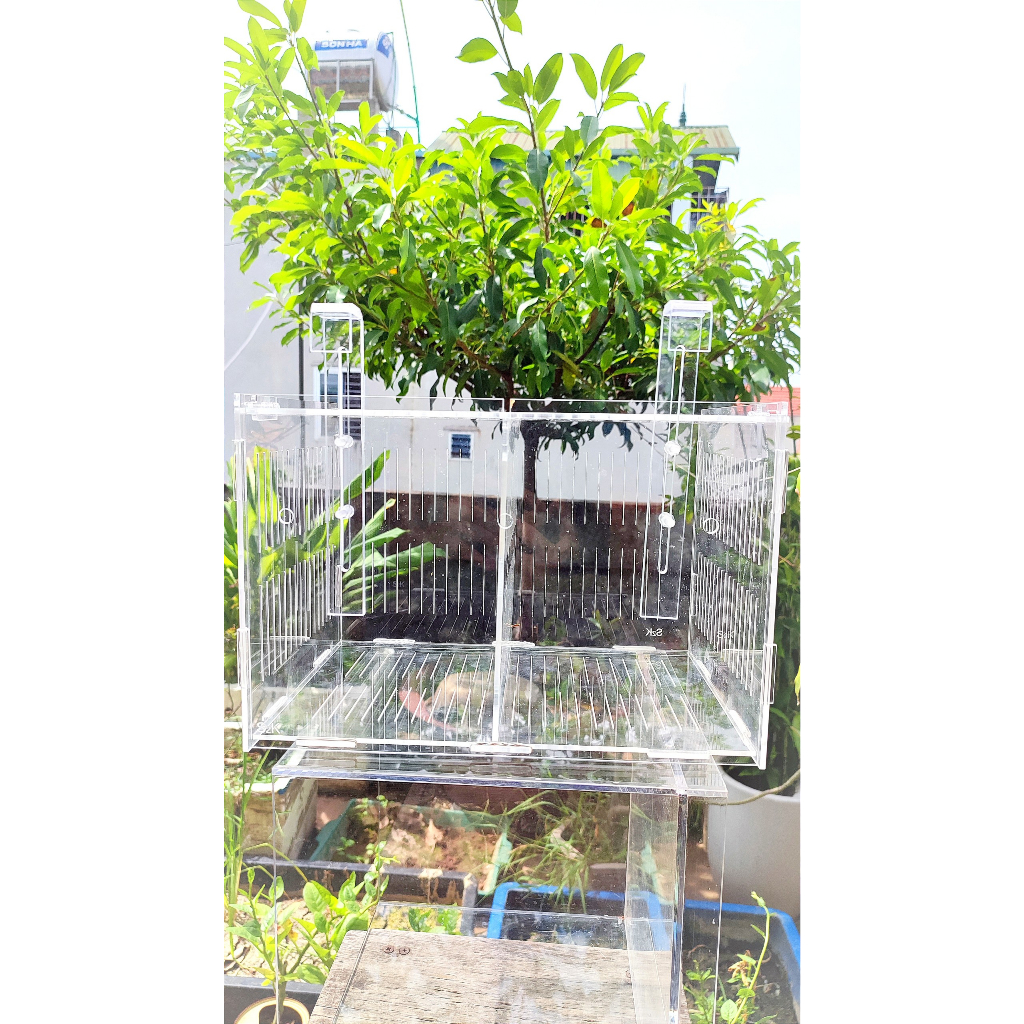 Lồng dưỡng Acrylic:  30x20x20 Lồng dưỡng cá mica siêu nhẹ, siêu trong...dưỡng cá, tép, thủy sinh...