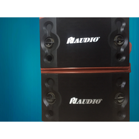 Cặp Loa hàng chất lượng cao giá rẻ bass 20