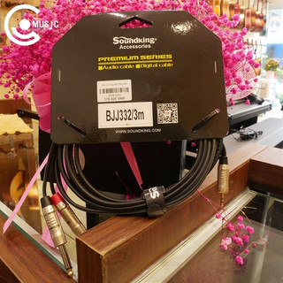 Dây tín hiệu jack 3.5mm ra 2 đầu 6 ly soundking bjj332/3m