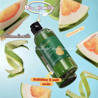 Dầu Gội Cocoon Bưởi Pomelo