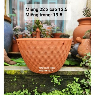 Chậu đất nung - chậu thau đại lỗ tàn ong