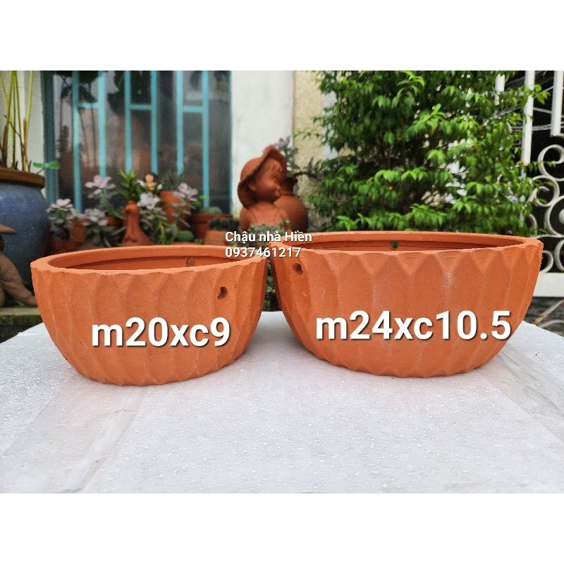 Chậu đất nung - chậu gân lớn sz đại (có lỗ treo)