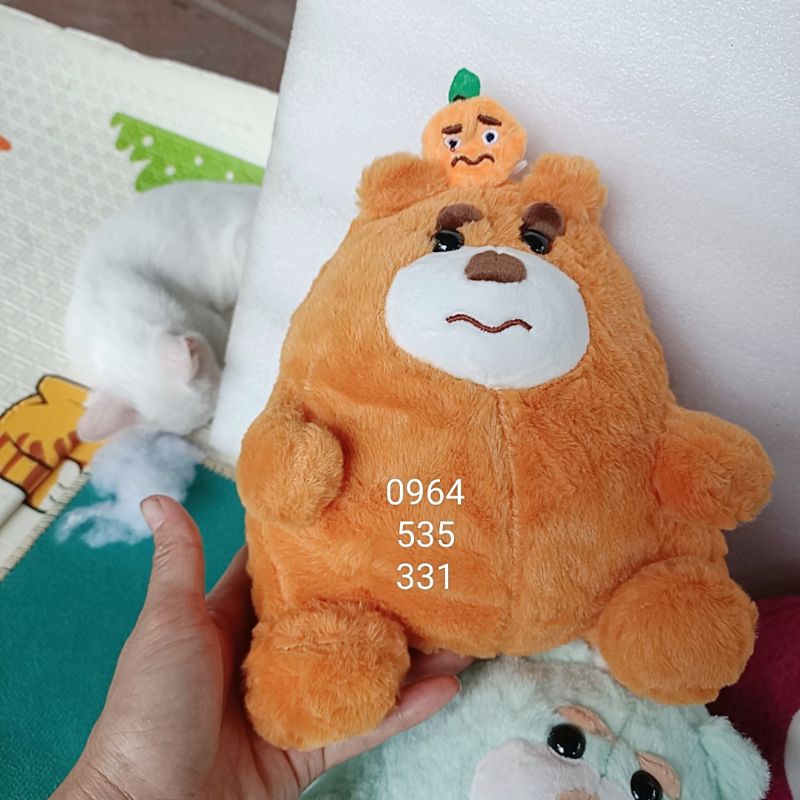 ❤️ Gấu đội quả, hình+video thật ❤️