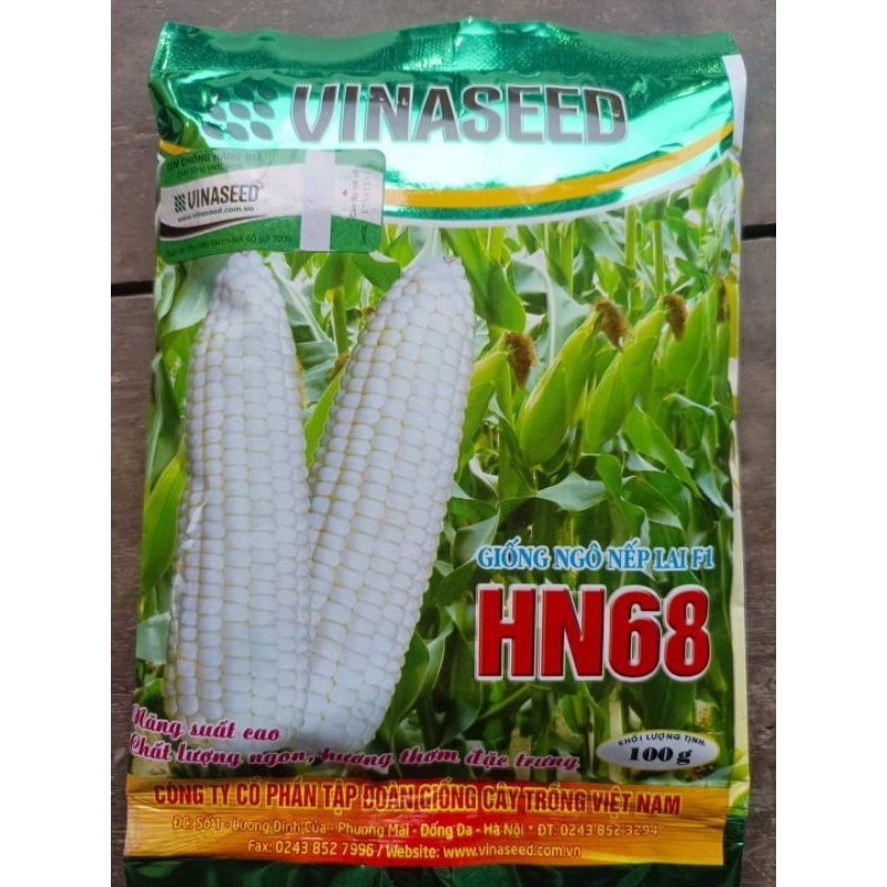 Hạt Giống Ngô Nếp Lai F1 HN68 (thơm, ngon, dẻo)