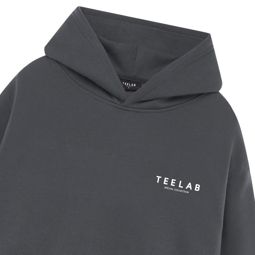 Áo Hoodie Teelab Local Brand Unisex Special Collection Premium HD044