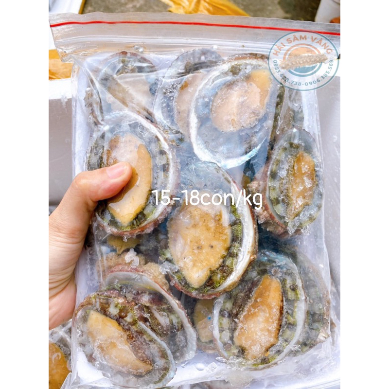 BÀO NGƯ THIÊN NHIÊN NHA TRANG (13-18con/kg)