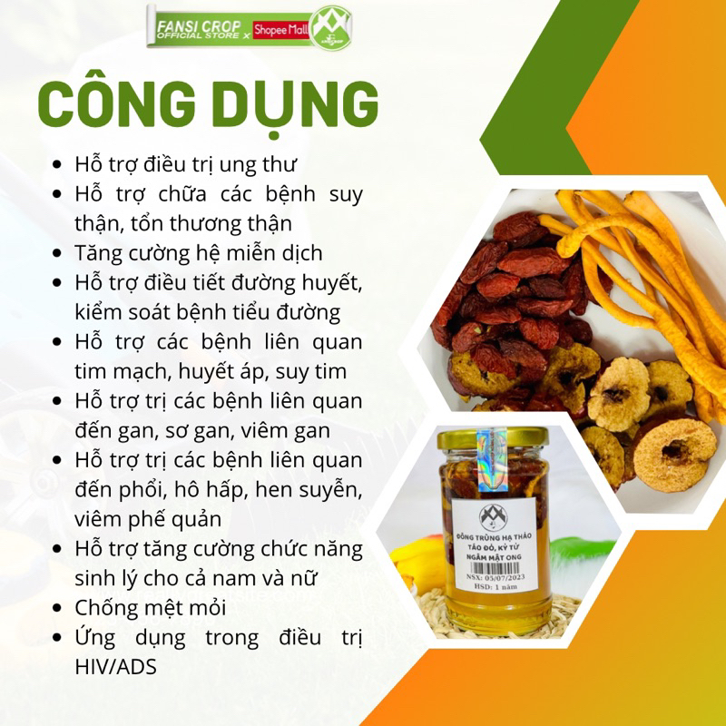 Đông Trùng Hạ Thảo, Táo đỏ, Kỷ tử ngâm mật ong Fansi, 100ML
