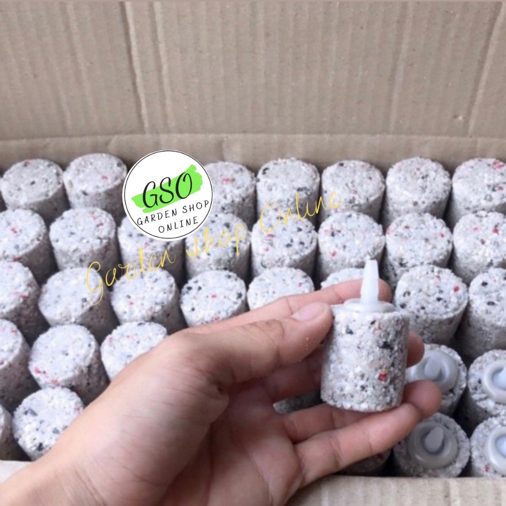 Combo 5 Viên Đá Sủi Khí Oxy