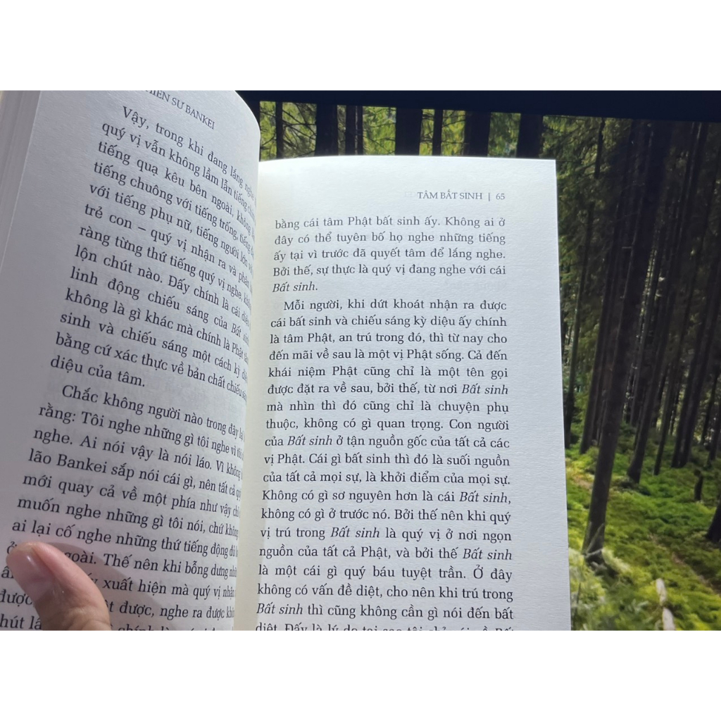 Sách - TÂM BẤT SINH - Pháp thiền Bankei