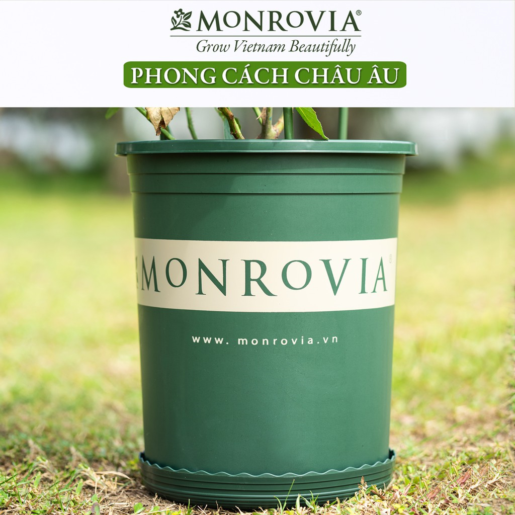Chậu nhựa trồng cây MONROVIA 6 Gallon - O Series để bàn, treo tường, ngoài trời, sân vườn, tiêu chuẩn Châu Âu