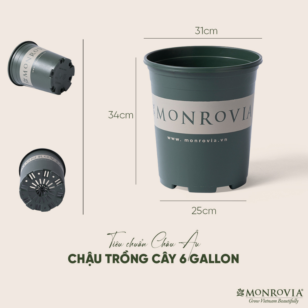 Chậu nhựa trồng cây MONROVIA 6 Gallon - O Series để bàn, treo tường, ngoài trời, sân vườn, tiêu chuẩn Châu Âu