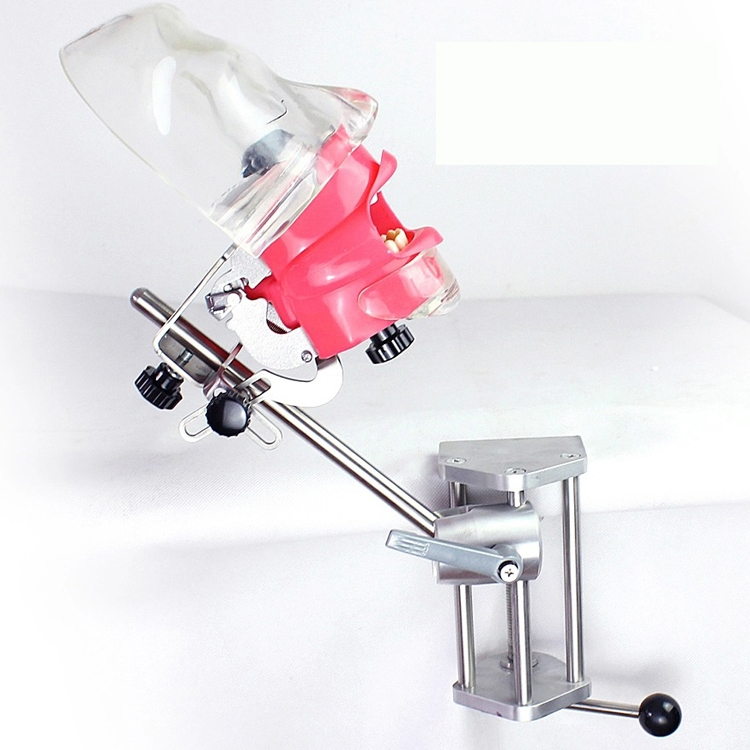 PHANTOM Thực hành nhiều loại, gắn mặt bàn gắn ghế nha khoa