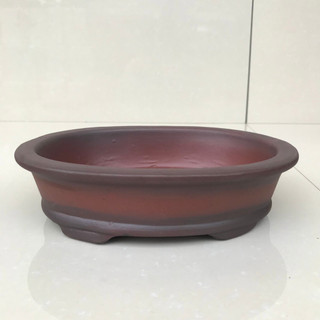 Chậu Oval trồng cây cảnh bonsai sen đá màu đỏ SP194
