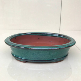 Chậu Oval số 1 trồng cây cảnh bonsai sen đá màu xanh ngọc SP213