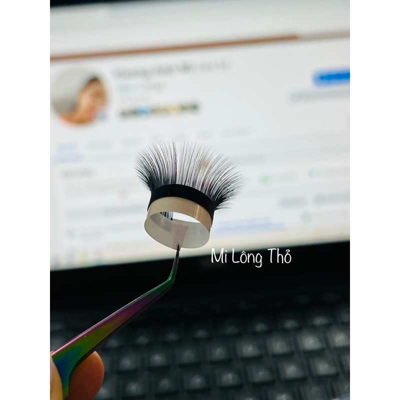 Mi Lông Thỏ C CC D U