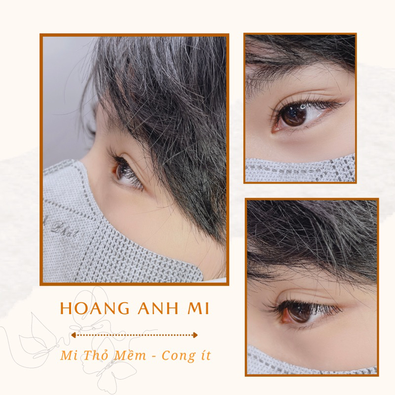 Mi Lông Thỏ C CC D U
