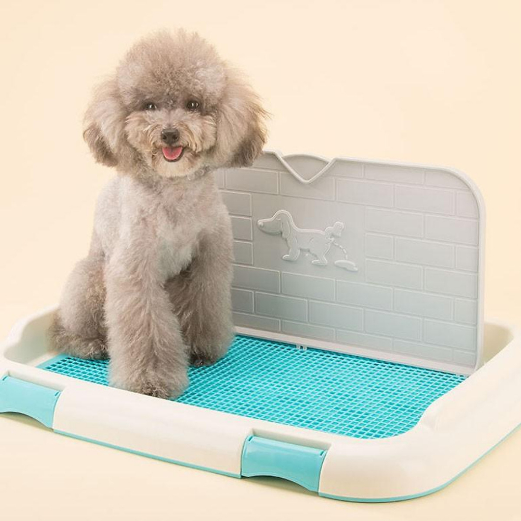 Khay vệ sinh hướng dẫn cho chó đi vệ sinh đúng chỗ cỡ lớn 63x45 cm tặng cọc và tường chắn được chọn màu