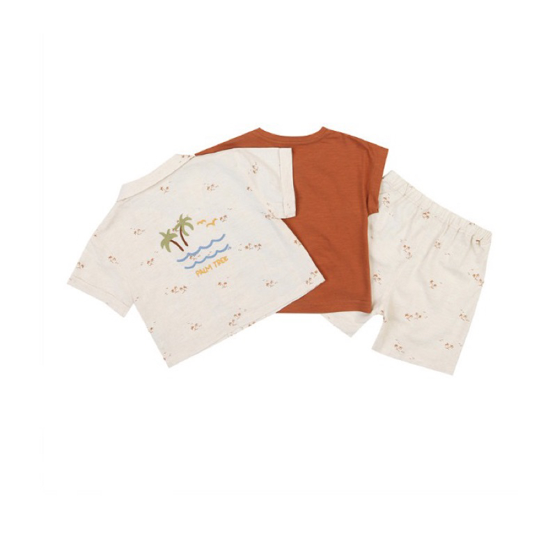 Set 3 chi tiết xuất Hàn hoạ tiết cây dừa mùa hè - Moilmol