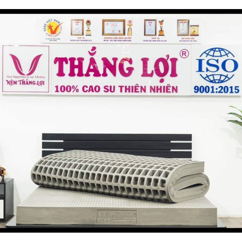 NỆM CAO SU THIÊN NHIÊN 100%THAN HOẠT TÍNH THẮNG LỢI ( SG hoả tốc 1-2H)