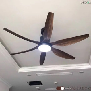Quạt trần có đèn Delux 8866