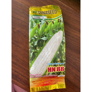Giống bắp nếp lai f1 hn88- 500gram.