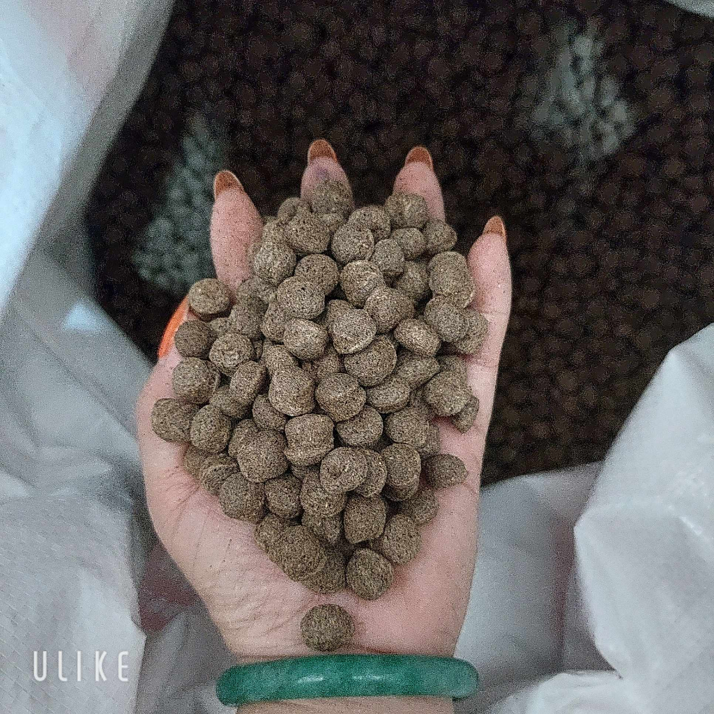 1 kg Cám Câu Cá F.918 viên  và xay sẵn