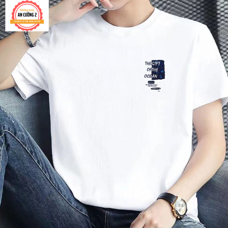 Áo thun nam, áo phông nam tay ngắn cổ tròn chất cotton, dày dặn thoáng mát  AT15 - Xưởng may An Cường 2