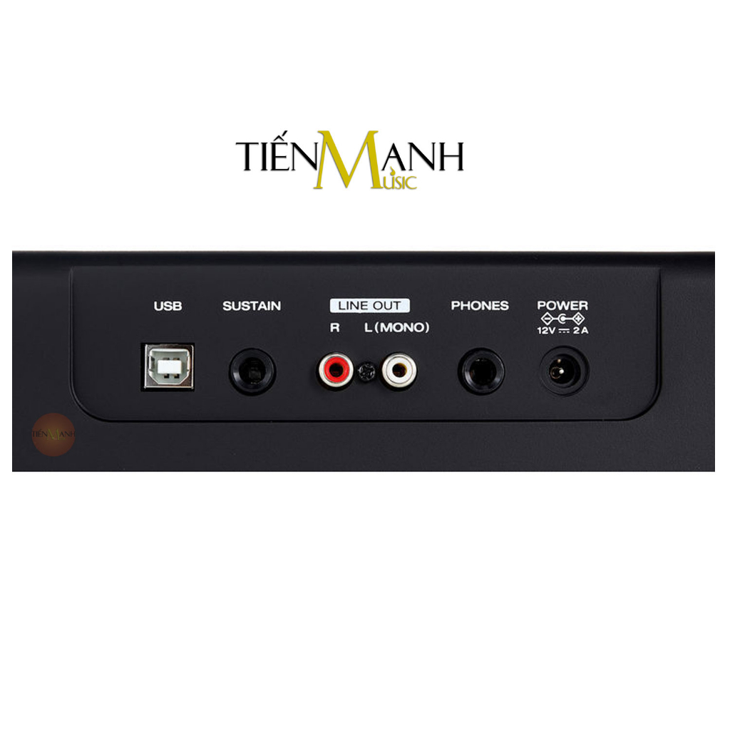 Đàn Piano Điện Alesis Concert 88 Phím nặng Cảm ứng lực Có Loa